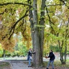 Study tour in the "Alexandru Borza" Botanical Garden of Cluj